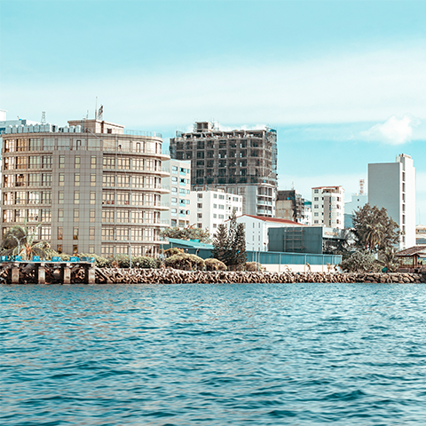 Portfolio Image 25