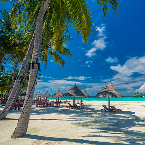 Portfolio Image 26