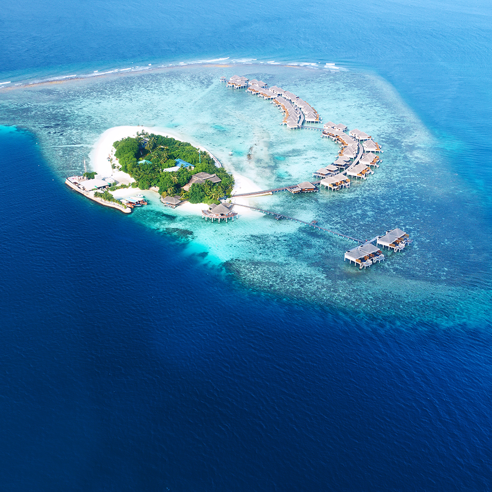 Portfolio Image 27