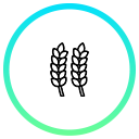 Service Icon 3